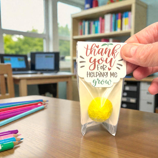 Teacher Appreciation Seed Bombs - Spring Wildflower Gift