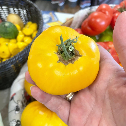 Tomato Seeds - Lemon Boy Yellow Heirloom