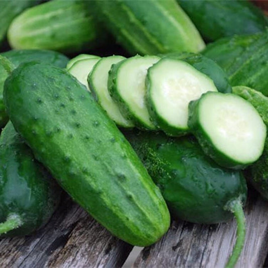 Cucumber - Heirloom - Vegetable seeds