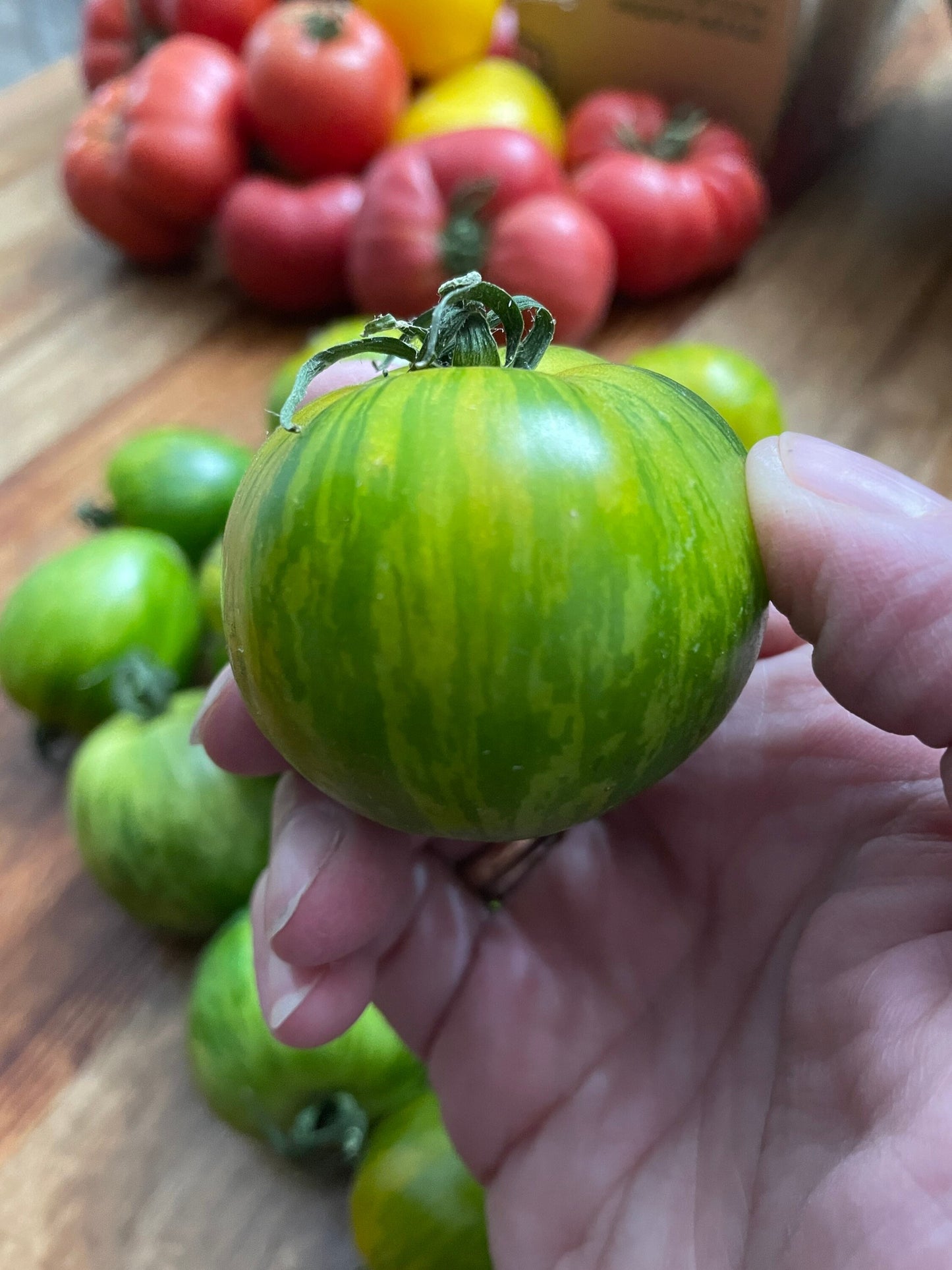 Tomato Seeds - Green Zebra - Medium-sized Heirloom Variety