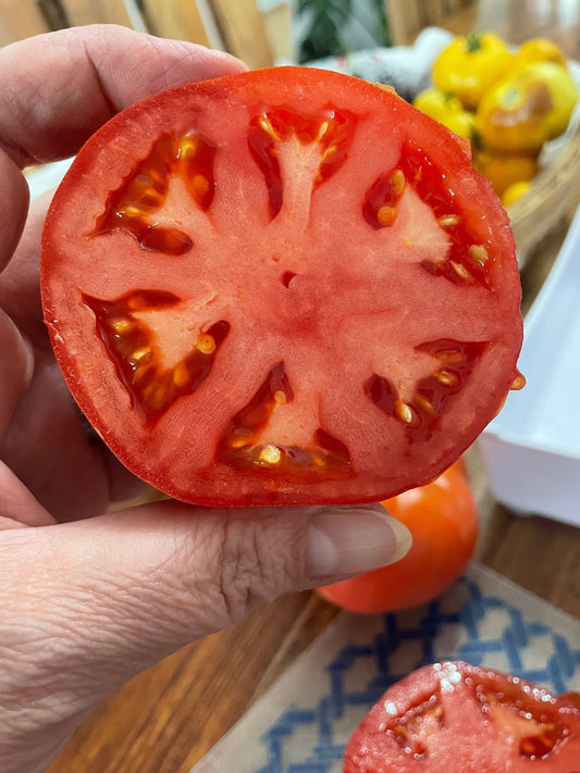 Tomato Seeds - Beefsteak - Large Heirloom Variety