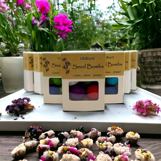 Canadian Wildflower seed bomb 6-pack gift box