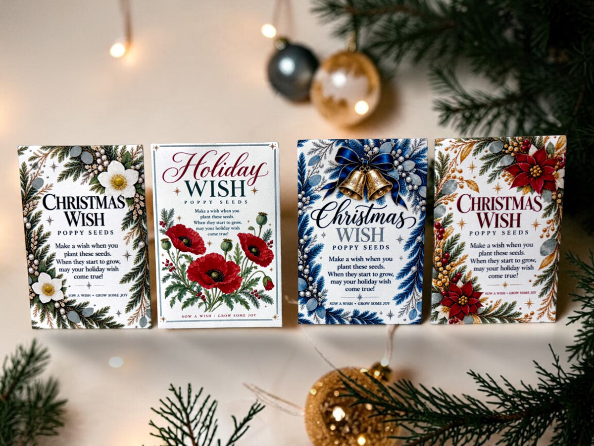 Seed Packages - Christmas - Wish Floral - Poppy Seeds