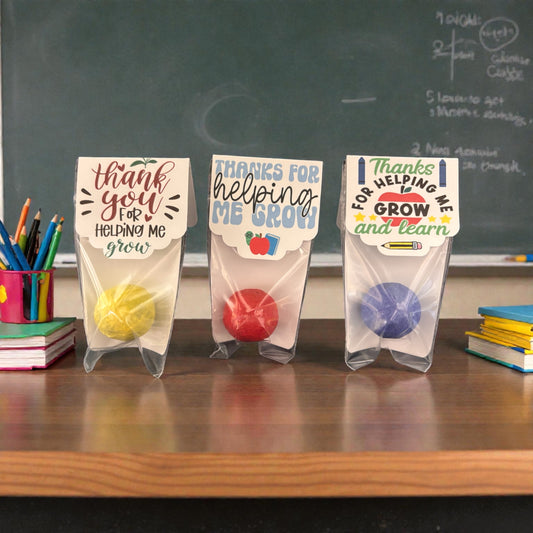 Teacher Appreciation Seed Bombs - Spring Wildflower Gift