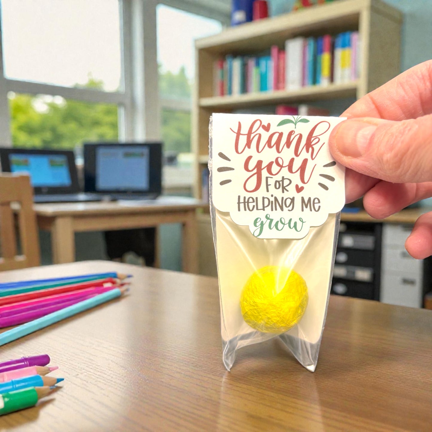 Teacher Appreciation Seed Bombs - Spring Wildflower Gift