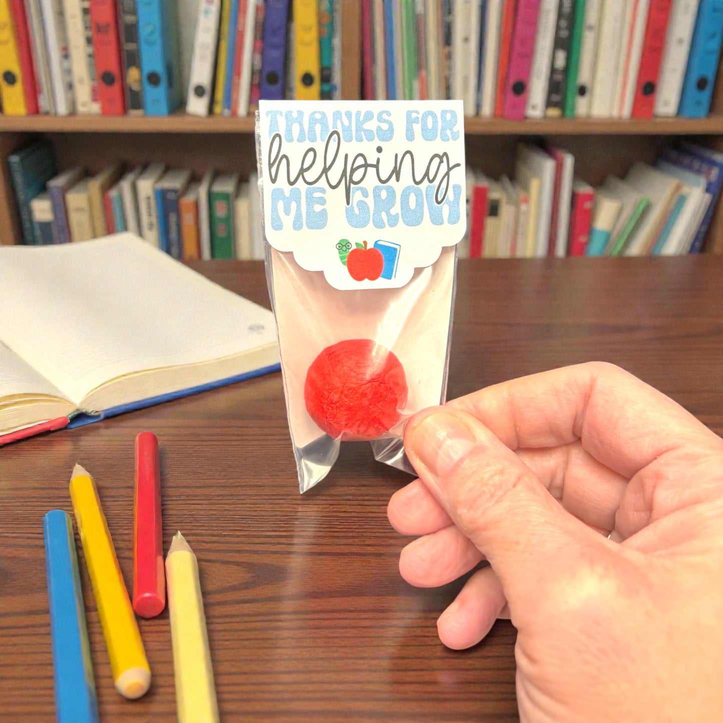 Teacher Appreciation Seed Bombs - Spring Wildflower Gift