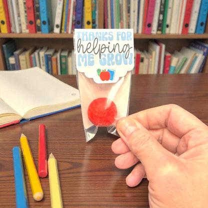 Teacher Appreciation Seed Bombs - Spring Wildflower Gift