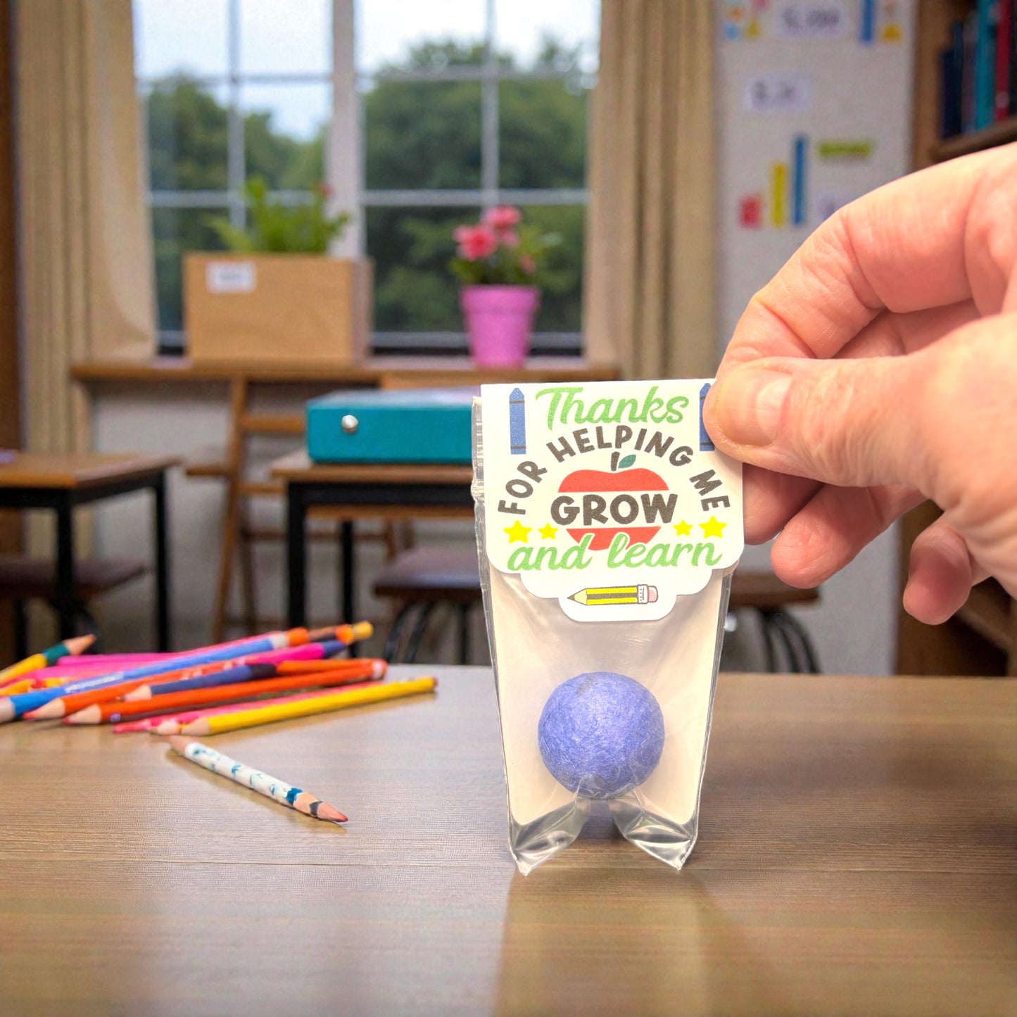 Teacher Appreciation Seed Bombs - Spring Wildflower Gift