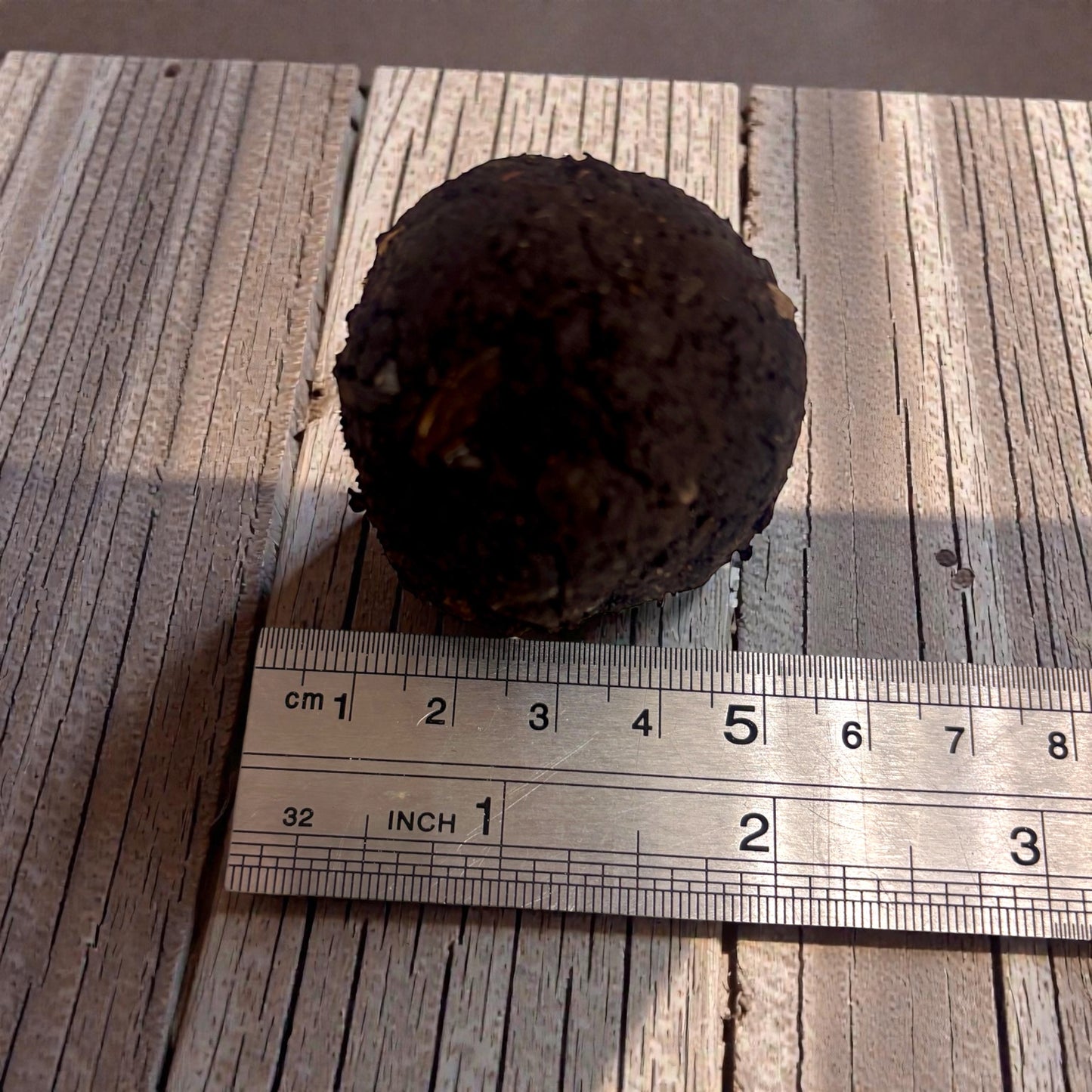 Sunflower Seed Bomb