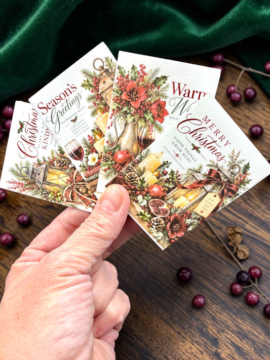 Seed Packages - Christmas Merlot - Wildflower Seeds