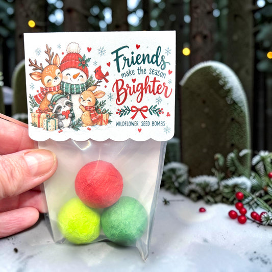 Hand holding a clear bag of three wildflower seed bombs in red and green outdoors in the snow, with a topper showing a snowman with a reindeer, raccoon, bunny and cardinal beside the words 'Friends make the season Brighter'