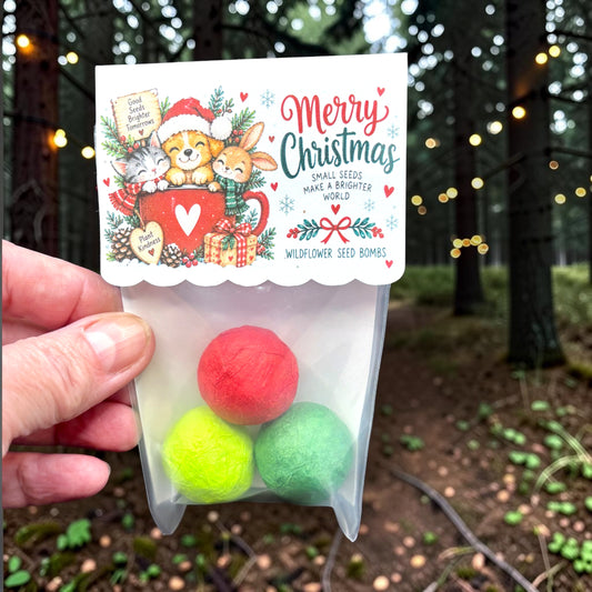 Hand holding a clear bag of three wildflower seed bombs in red and green in a forest strung with lights, with a topper showing a kitten, a puppy in a Santa hat and a bunny peeking out of a red mug beside the words 'Merry Christmas'