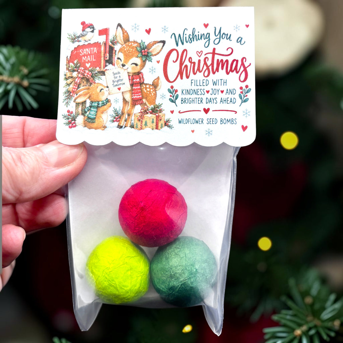 Seed Bombs - 3 Pack - Christmas Themed - Cuddly Critters