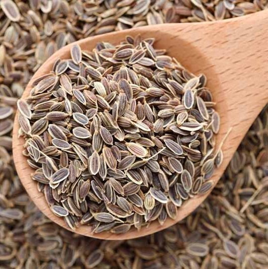 Dill - Herb Seeds