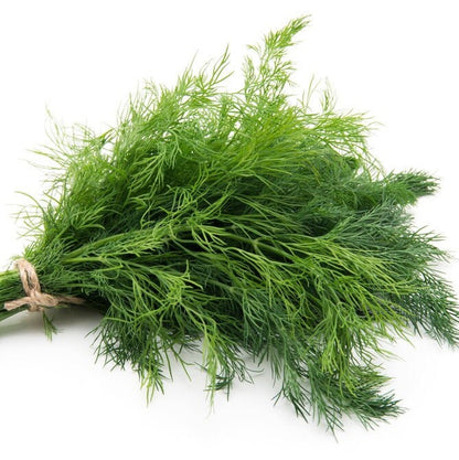 Dill - Herb Seeds