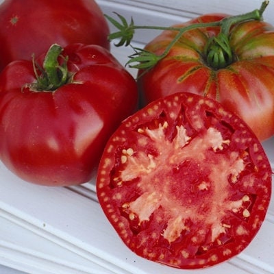 Tomato Seeds - Pruden's Purple - Large Heirloom Variety