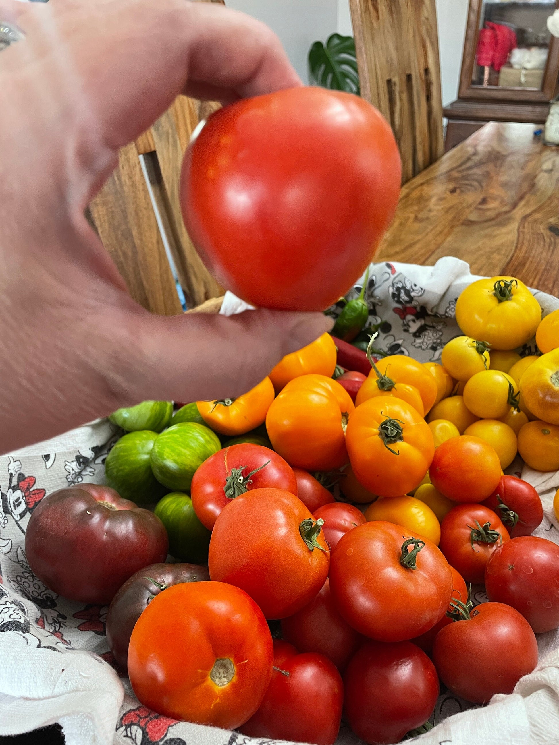 Tomato Seeds - Mixed Heirloom Variety includes Cherry, Roma, and Medium to Large Slicing Varieties