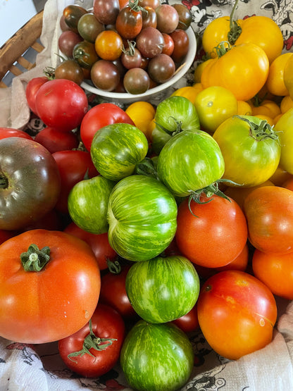 Tomato Seeds - Mixed Heirloom Variety includes Cherry, Roma, and Medium to Large Slicing Varieties