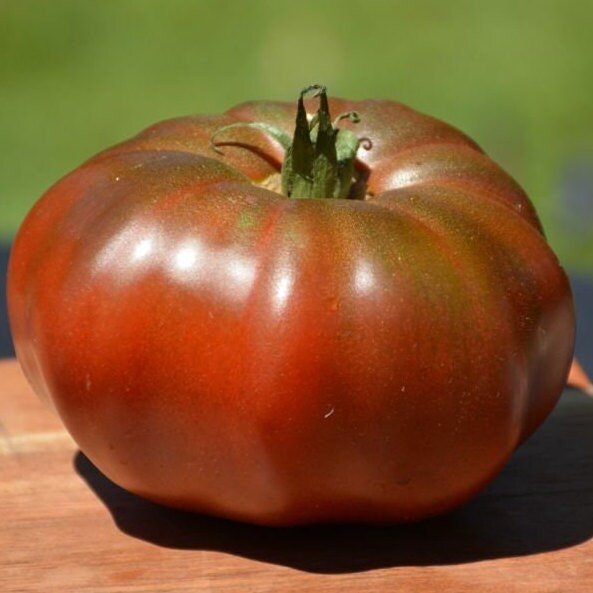 Tomato Seeds - Black Krim - Large and Sweet Heirloom Variety