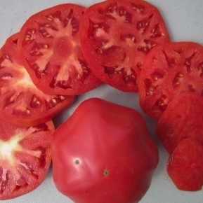 Tomato Seeds - Pruden's Purple - Large Heirloom Variety