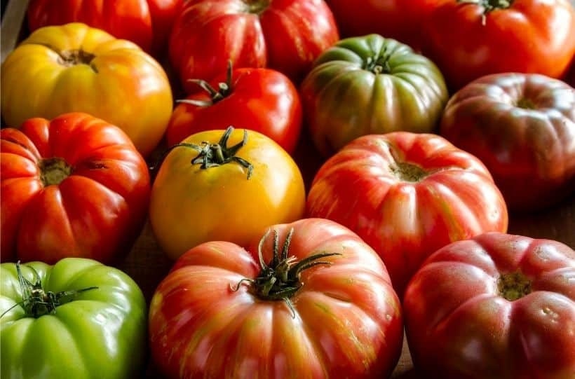 Tomato Seeds - Pruden's Purple - Large Heirloom Variety