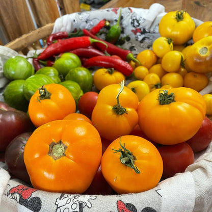 Tomato Seeds - Golden Jubilee - Large Orange Heirloom Variety