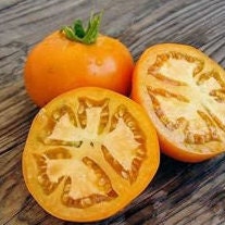 Tomato Seeds - Golden Jubilee - Large Orange Heirloom Variety