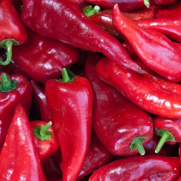 Pepper Seeds - Crimson Red Hot Pepper