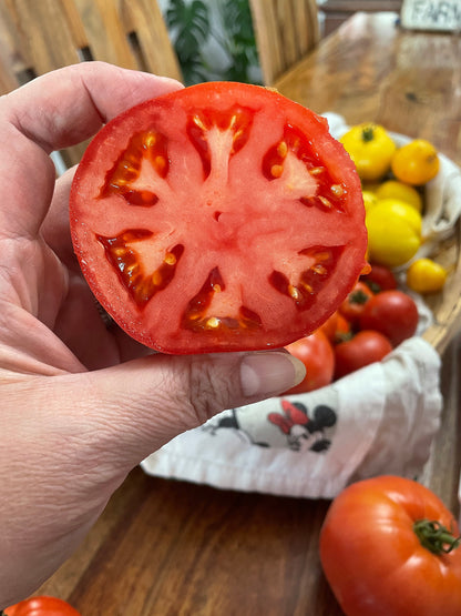 Tomato Seeds - Mixed Heirloom Variety includes Cherry, Roma, and Medium to Large Slicing Varieties