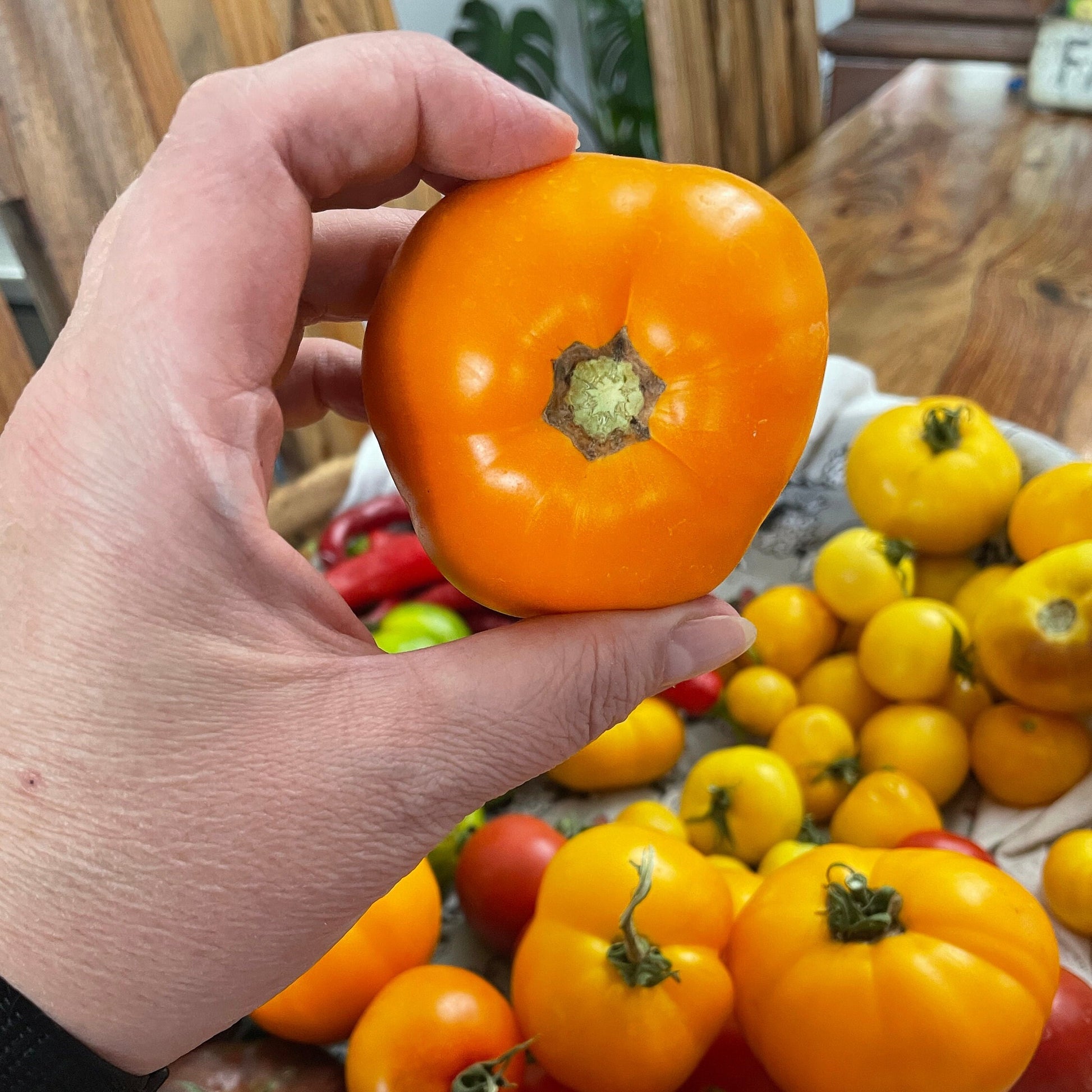 Tomato Seeds - Golden Jubilee - Large Orange Heirloom Variety