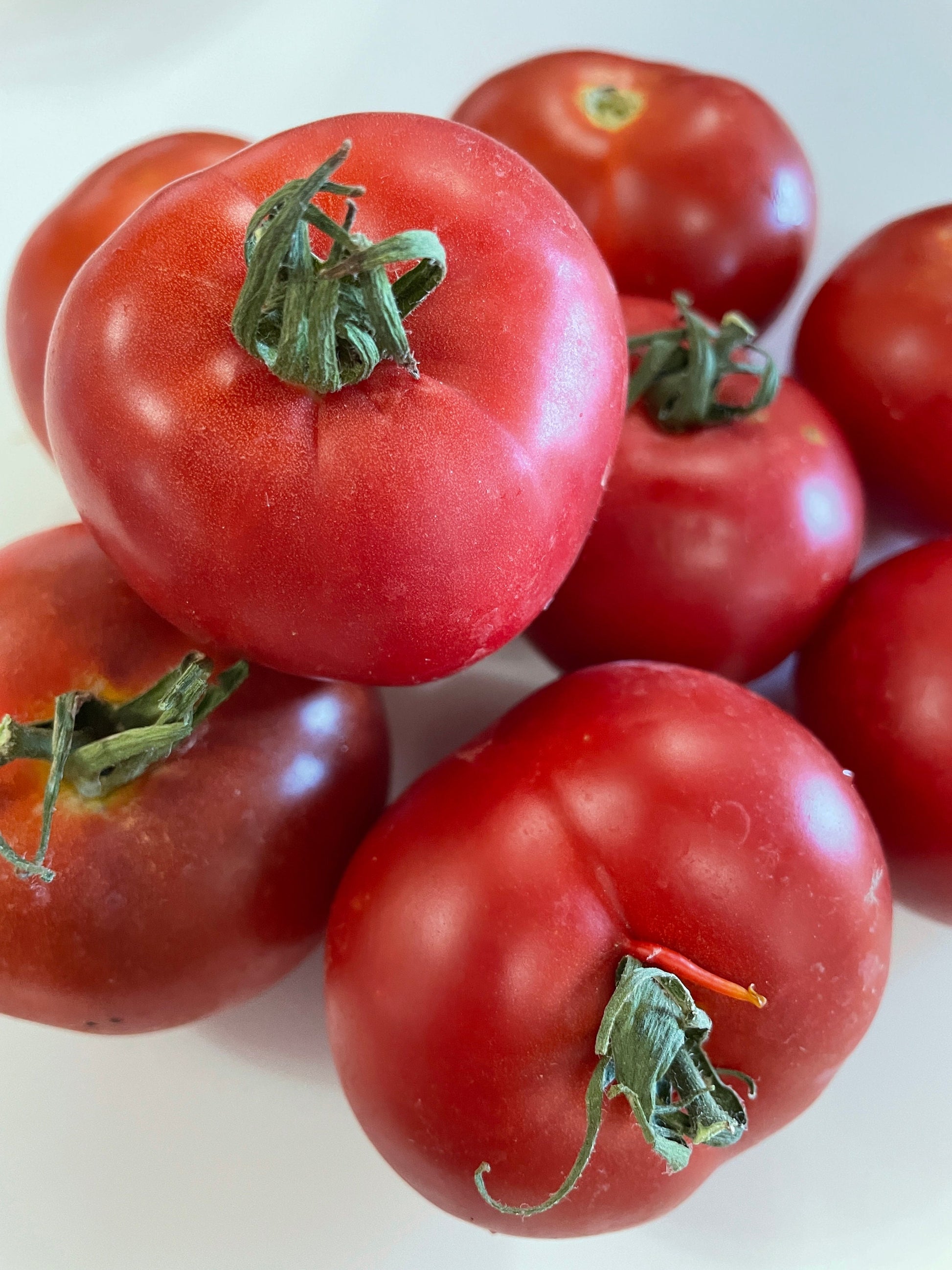 Tomato Seeds - Beefsteak - Large Heirloom Variety