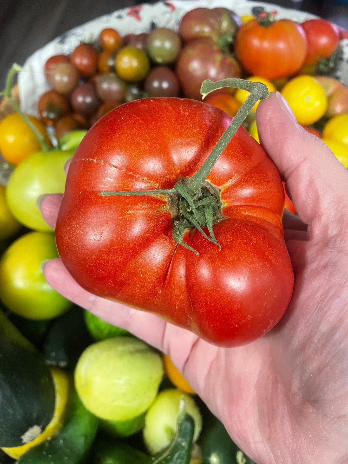 Tomato Seeds - Beefsteak - Large Heirloom Variety