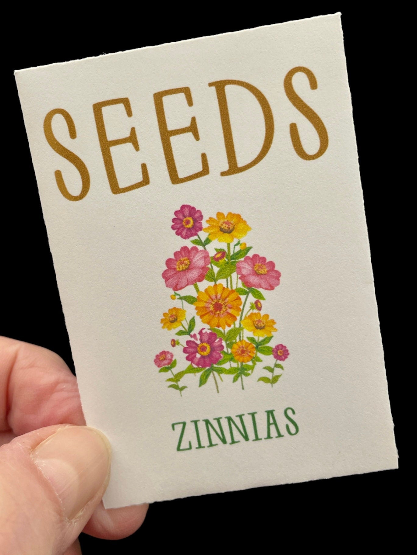 Zinnia - Flower Seeds - Mixed - Unleash a Spectrum of Color in Your Garden