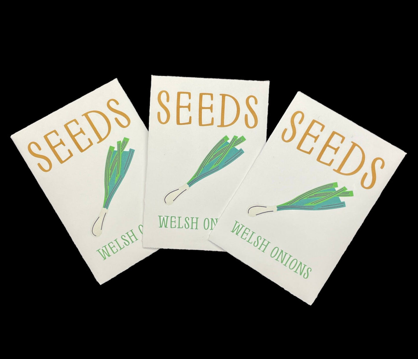 Welsh Onion (Perennial Winter Onion) - Vegetable Seeds