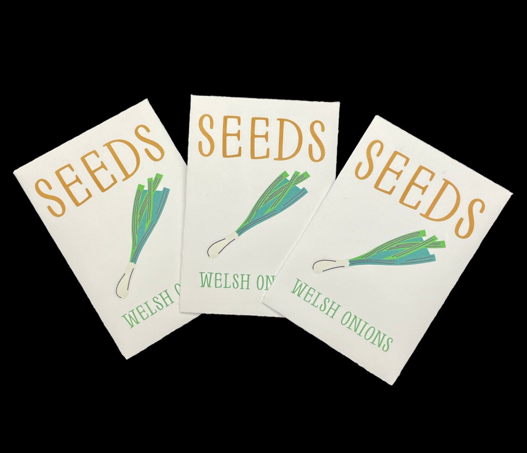 Welsh Onion (Perennial Winter Onion) - Vegetable Seeds