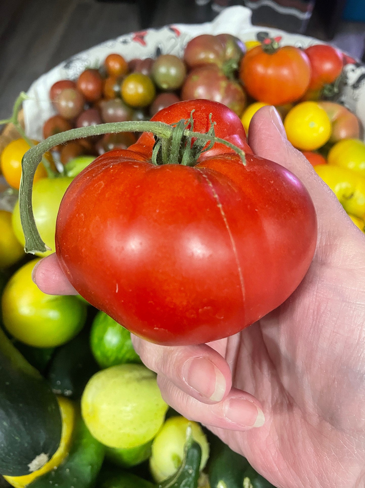 Tomato Seeds - Beefsteak - Large Heirloom Variety