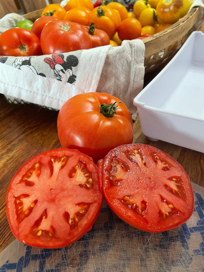 Tomato Seeds - Beefsteak - Large Heirloom Variety