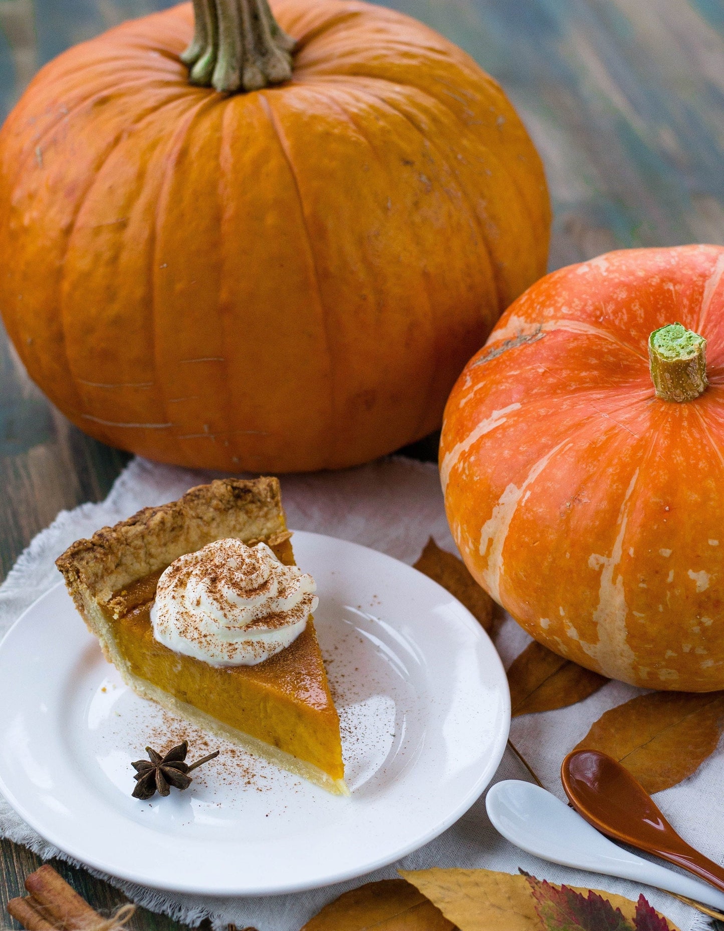 Pumpkin - Vegetable Seeds - Large Orange - Perfect for Carving at Halloween