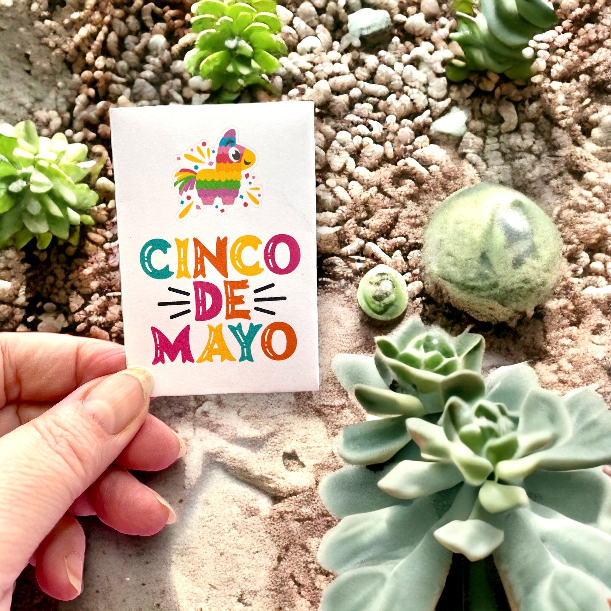 Seed Packets for Cinco de Mayo themed with Mixed Pepper Seeds - Includes 10 Packages of Pepper Seeds