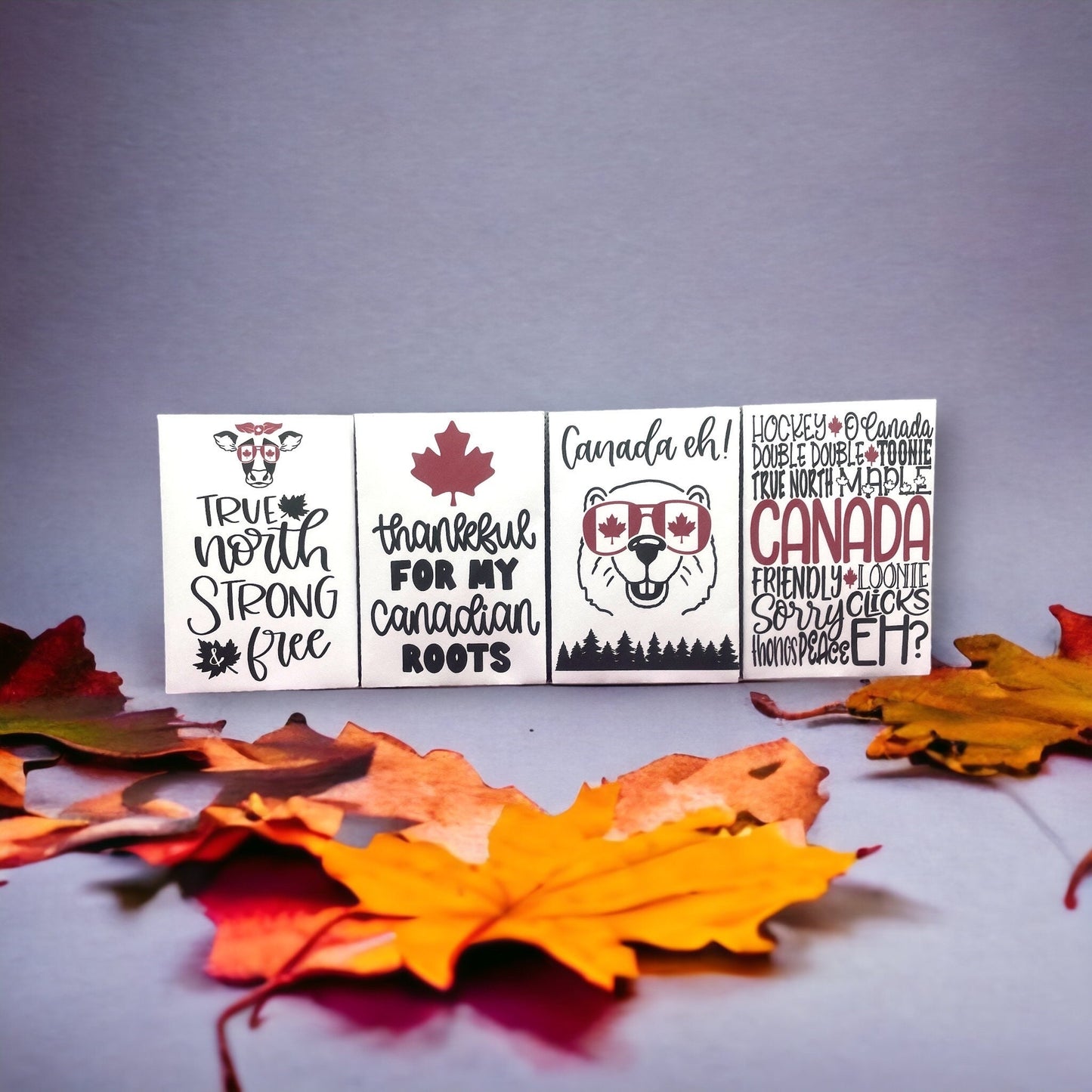 Seed Packet for Canada Day themed - July 1st, 2024 - Includes 10 Packages of Wildflowers Seeds