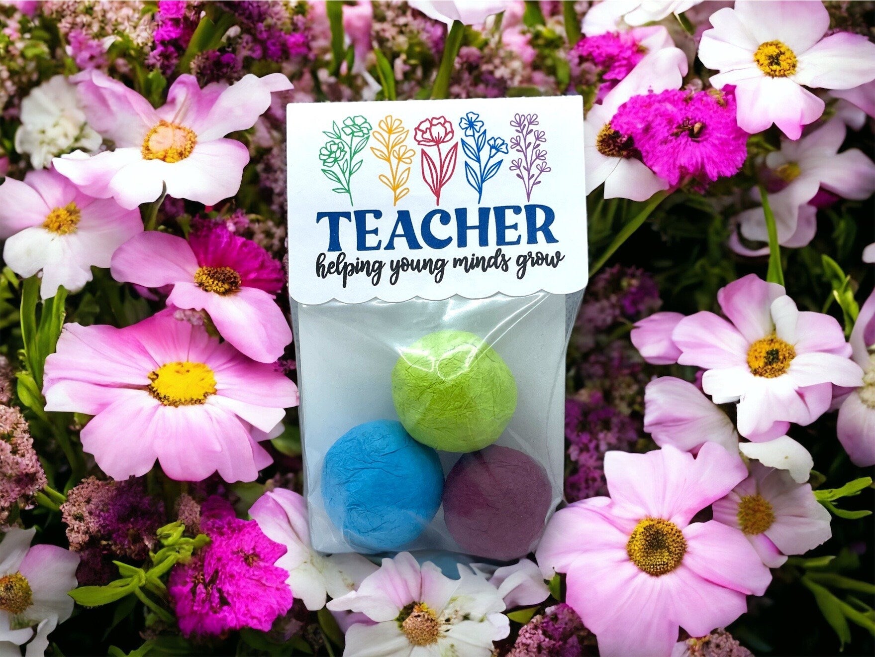 Seed Bombs - Teacher Appreciation Gift to say Thank you - Canadian Wildflower