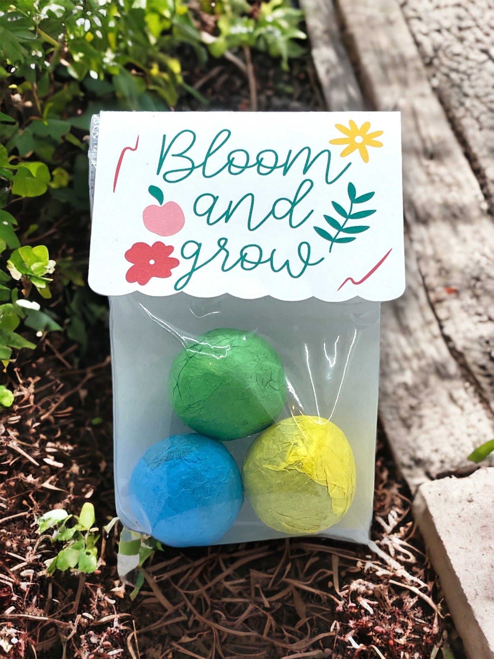 Seed Bombs - Blooming Blessings - Gift of Appreciation, Motivation, and Inspiration - Canadian Wildflower