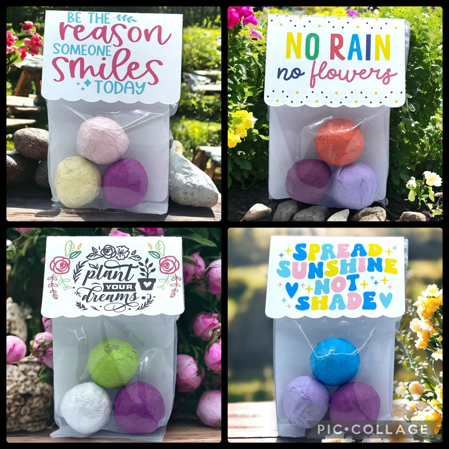 Seed Bombs - Blooming Blessings - Gift of Appreciation, Motivation, and Inspiration - Canadian Wildflower