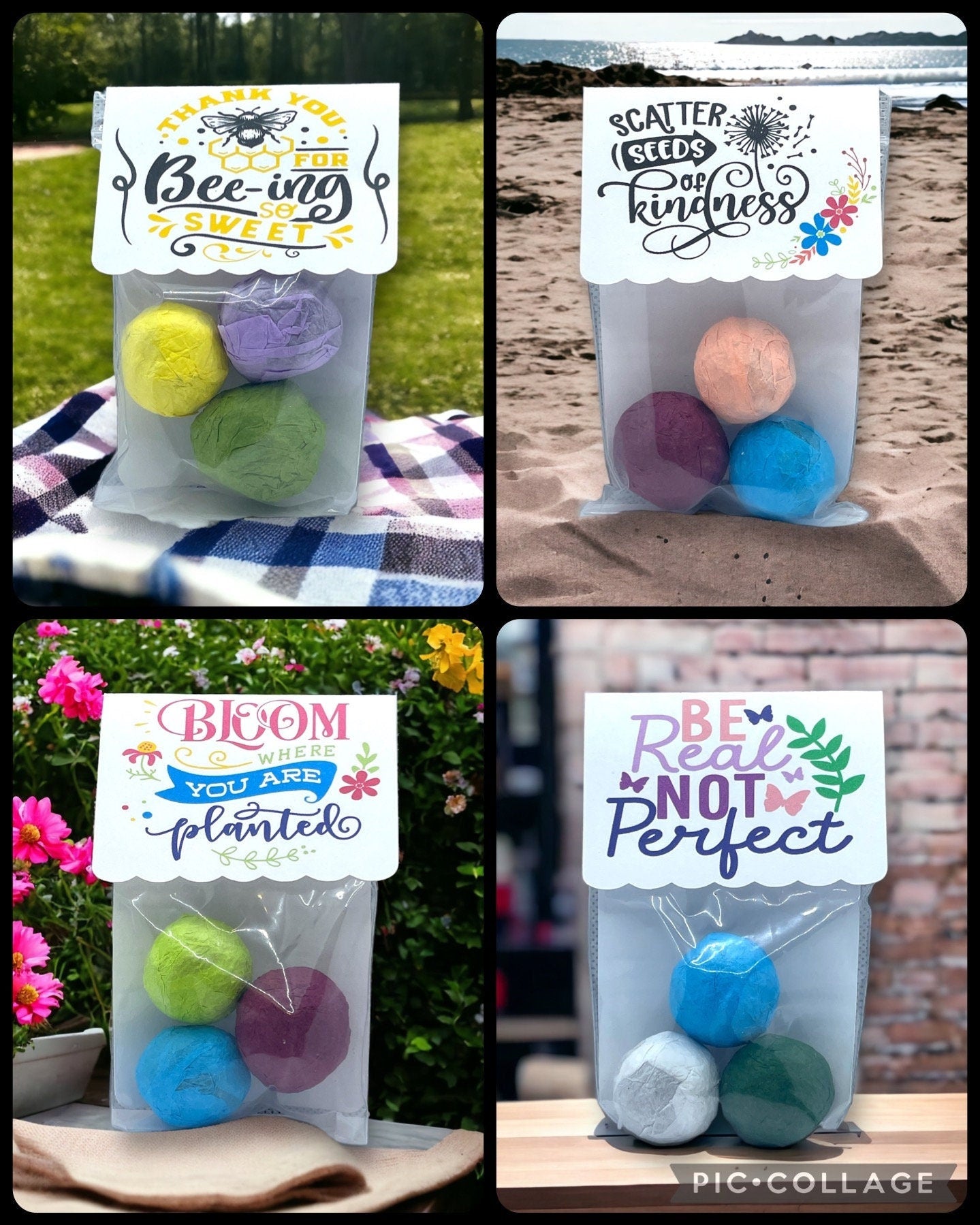 Seed Bombs - Blooming Blessings - Gift of Appreciation, Motivation, and Inspiration - Canadian Wildflower