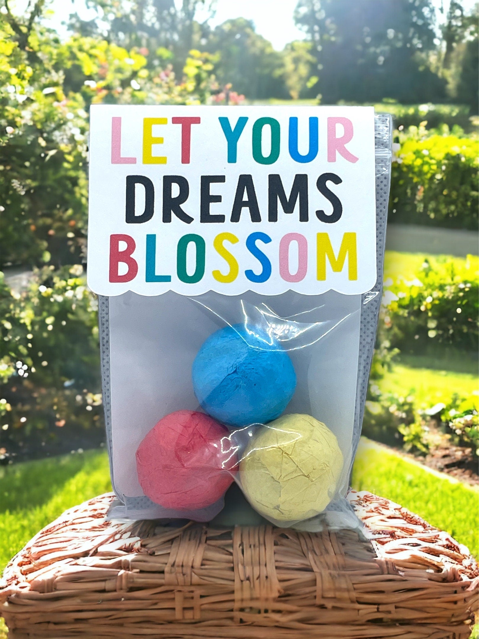 Seed Bombs - Blooming Blessings - Gift of Appreciation, Motivation, and Inspiration - Canadian Wildflower