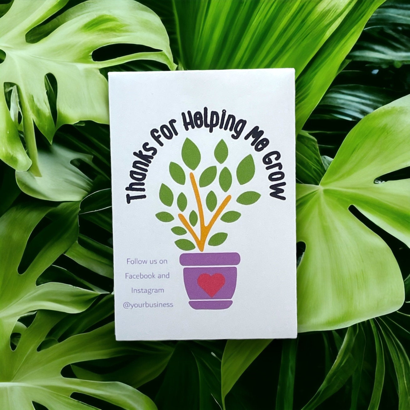 Seed Packets for Small Business Promotional - Customizable with Wildflowers