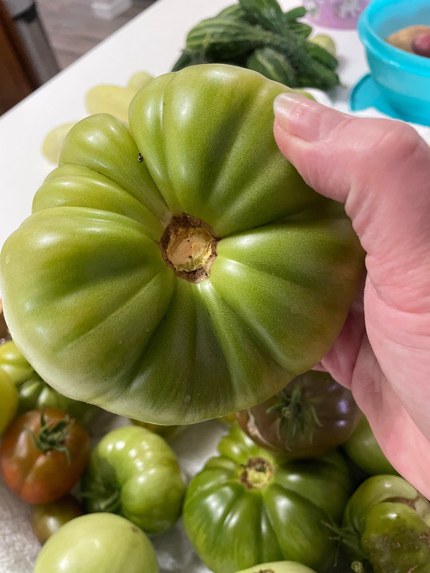 Tomato Seeds - Kellogg Breakfast - Large Yellow Heirloom