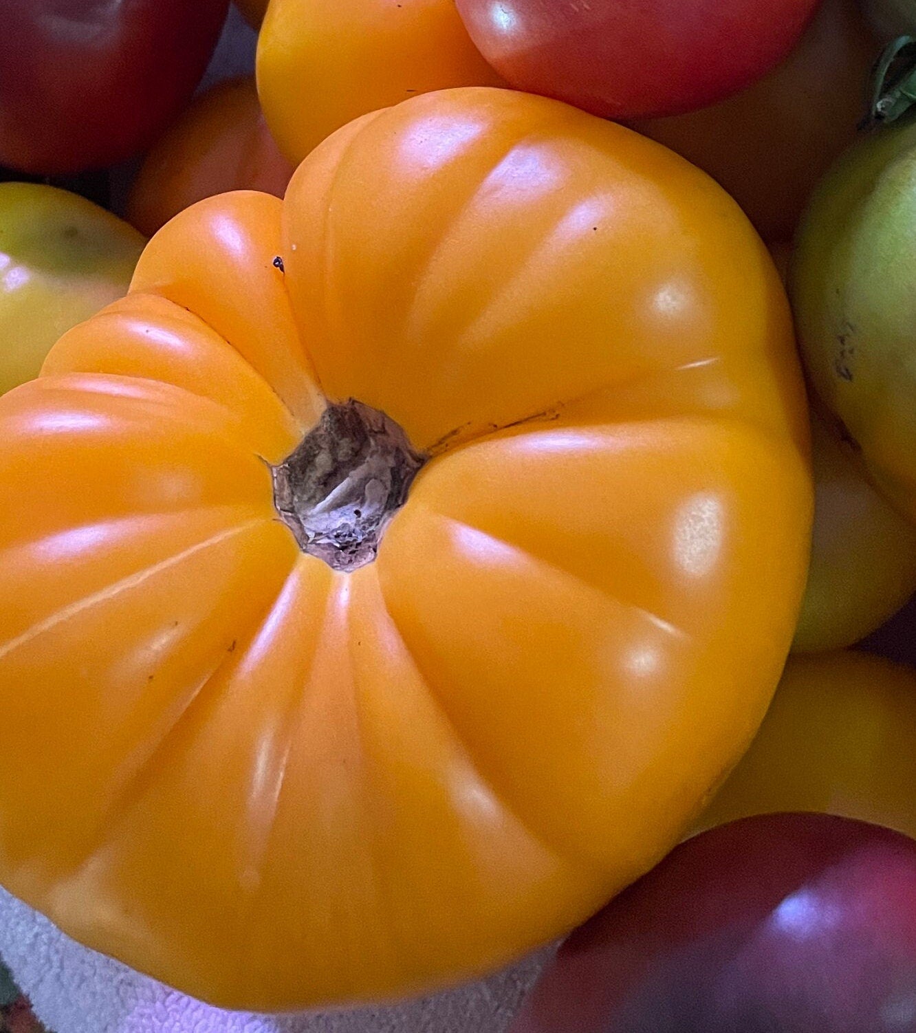 Tomato Seeds - Kellogg Breakfast - Large Yellow Heirloom