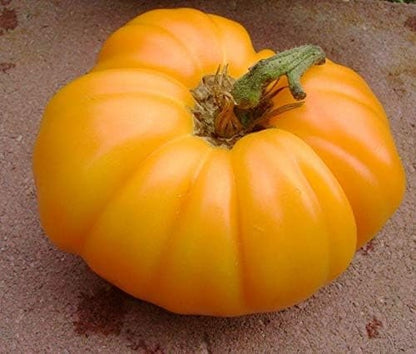 Tomato Seeds - Kellogg Breakfast - Large Yellow Heirloom