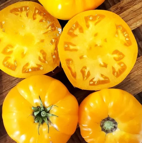 Tomato Seeds - Mixed Heirloom - ALL YELLOW varieties